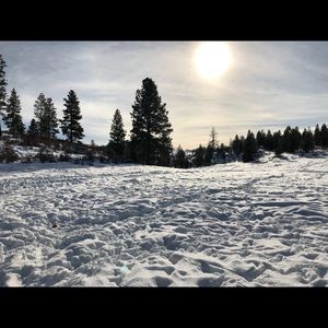 Meet your Posher, Bobbi